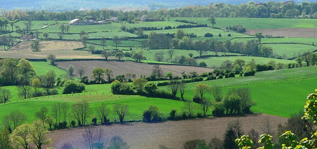 Ferme permaculture